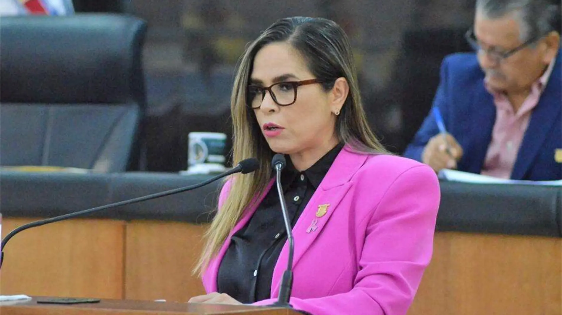 Diputada Gabriela Montoya Terrazas